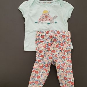 boden turtle set